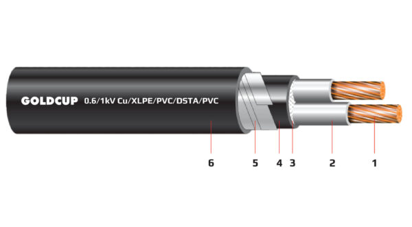 Cap dien 2 loi co giap bao ve (cap ngam) 0.6kV 1kV - Cu XLPE PVC DSTA PVC