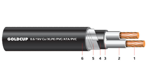 Cap dien ke 2 loi (cap muyle) 0.6kV 1kV - Cu XLPE PVC ATA PVC
