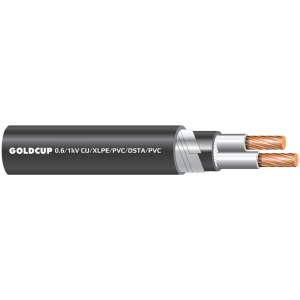 0.6/1 kV Two-Core Armoured Cable (Underground Cable) – Cu/XLPE/PVC/DSTA/PVC