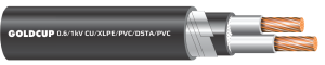 Cáp điện 2 lõi có giáp bảo vệ (cáp ngầm) 0.6/1 kV - Cu/XLPE/PVC/DSTA/PVC