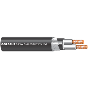 0.6/1 kV Two-Core Metering Cable (Muyle Cable) – Cu/XLPE/PVC/ATA/PVC