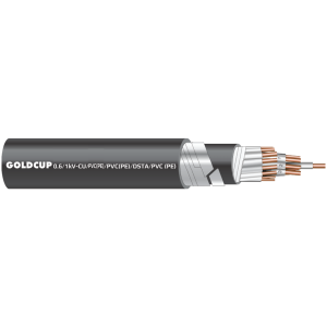 0.6/1 kV Signal Cable with Armor Protection (Underground Cable) - Cu/PE/PVC(PE)/DSTA/PVC(PE)
