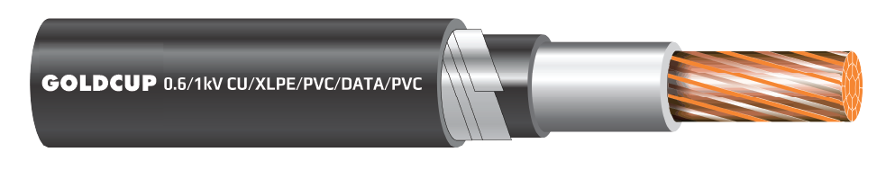 Cap-dien-1-loi-co-giap-bao-ve-cap-ngam-0.6kV-1kV-Cu-XLPE-PVC-DATA-PVC-nobg