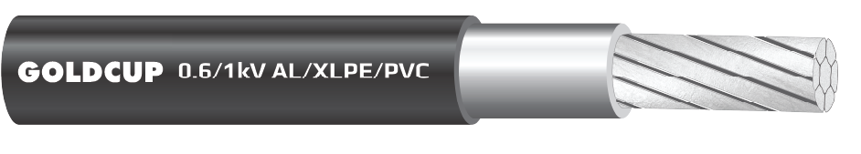 Cap-dien-1-loi-ruot-nhom-khong-co-giap-bao-ve-0.6kV-1kV-AL-XLPE-PVC-nobg