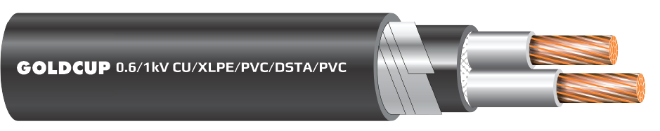 Cap-dien-2-loi-co-giap-bao-ve-cap-ngam-0.6kV-1kV-Cu-XLPE-PVC-DSTA-PVC-nobg