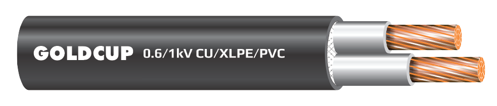 Cap-dien-2-loi-khong-co-giap-bao-ve-0.6kV-1kV-Cu-XLPE-PVC-nobg