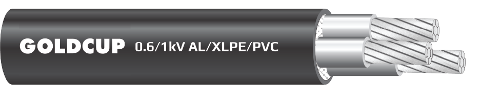 Cap-dien-23-loi-ruot-nhom-khong-co-giap-bao-ve-0.6kV-1kV-AL-XLPE-PVC-nobg