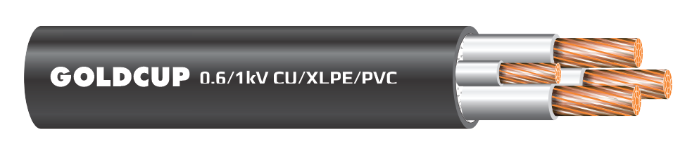 Cap-dien-31-loi-khong-co-giap-bao-ve-0.6kV-1kV-Cu-XLPE-PVC-nobg