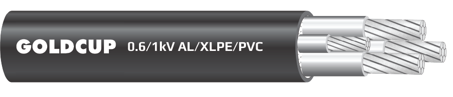 Cap-dien-31-loi-ruot-nhom-khong-co-giap-bao-ve-0.6kV-1kV-AL-XLPE-PVC-nobg
