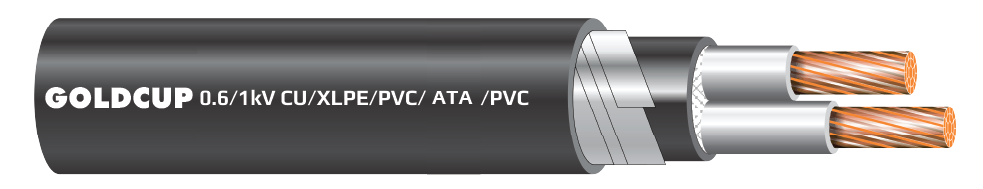 Cap-dien-ke-2-loi-cap-muyle-0.6kV-1kV-Cu-XLPE-PVC-ATA-PVC-nobg